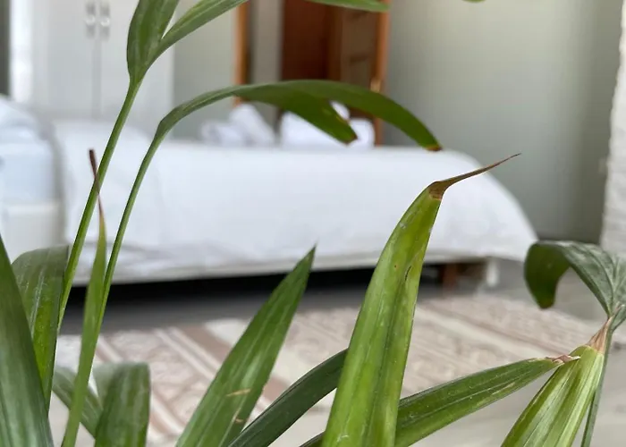 Agroni Rooms